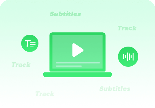 keep subtitles and audio tracks