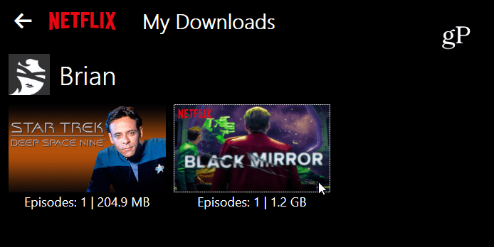 download netflix video